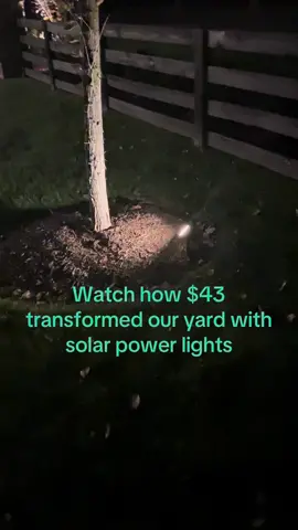 I spent $43 on solar power led lights for my yard and was blown away by the quality. We have warm white, which is almost sold out!  #solarpower #solarpowerlights #ledlights #outdoorlighting #outdoorlights #solarpowerledgardenpathlight #landscapelighting #tiktokshopblackfriday #tiktokshopholidayhaul 