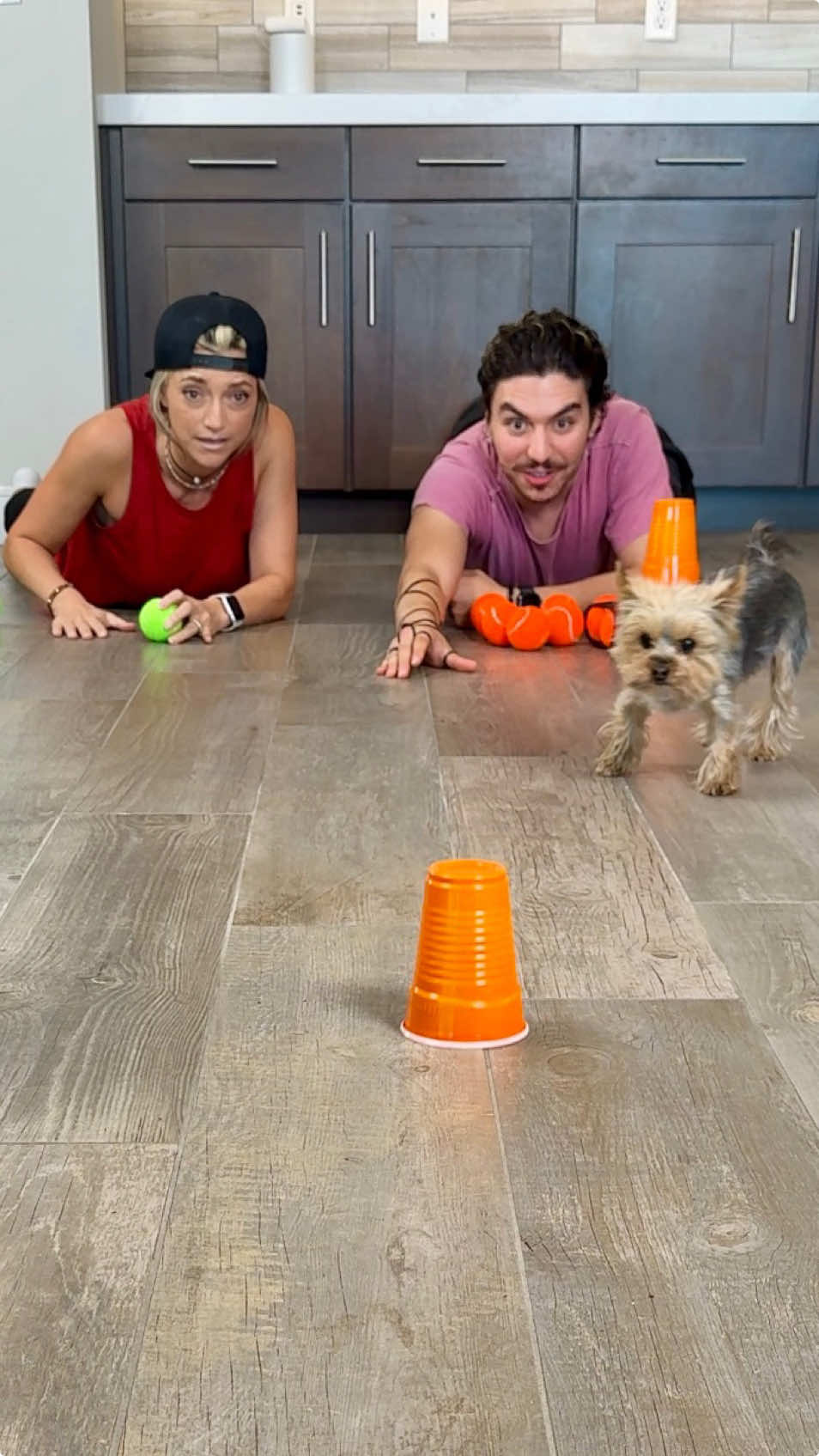 Slide the Cup, Avoid the Pup 🐾🤣 #newgame #slidingcups #yorkie #momandson 