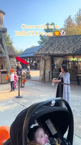 Can’t wait to go next year 🎃👻 #tulsaok #tulsazoo #halloween #trickortreats 