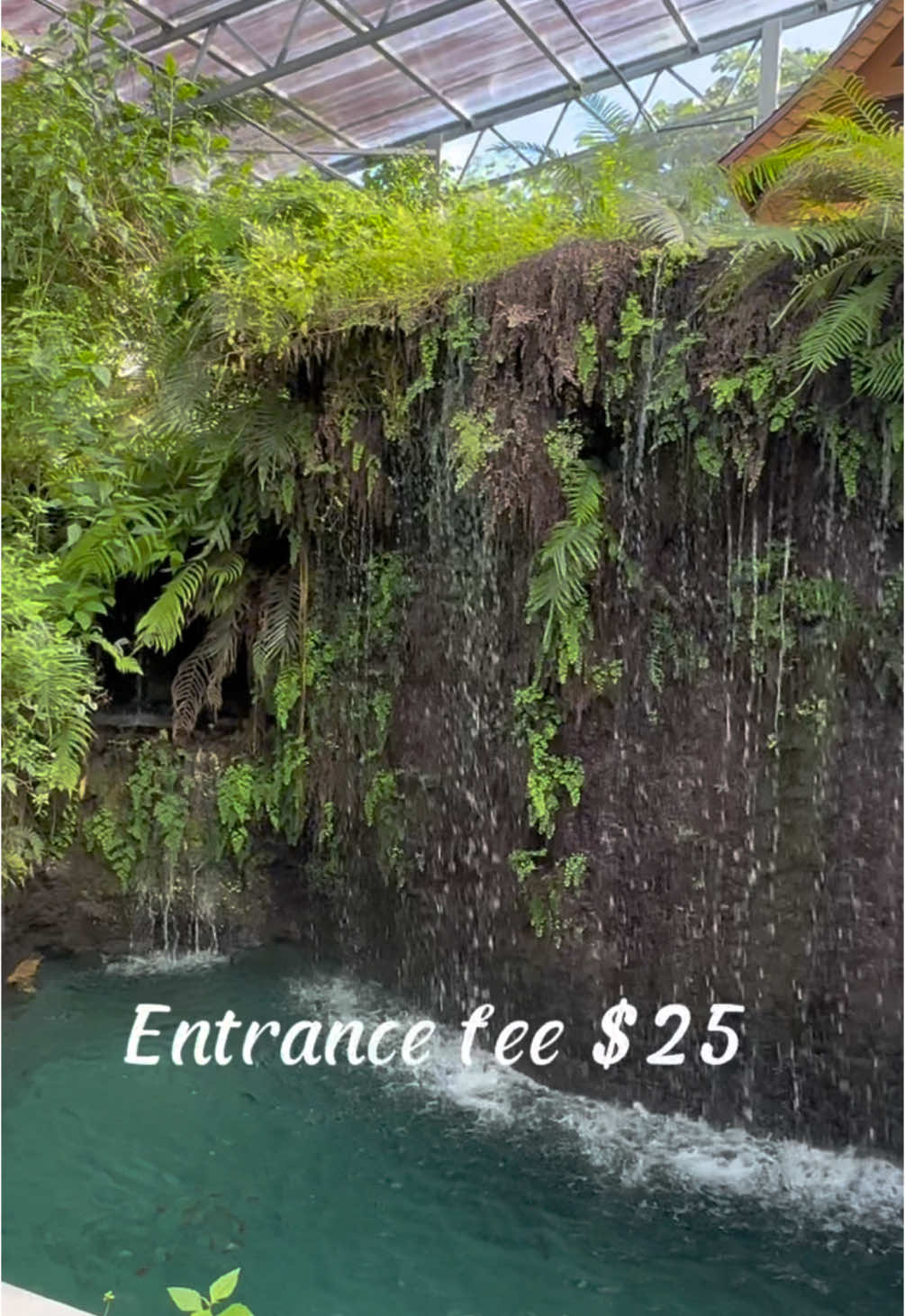 If you need a break from the party and fast pace of Miami  A walk through this lush &  peaceful scenery might be just what you need  📍patch of heaven Sanctuary  21900 SW 157th Ave, Miami, FL 33170 Admission fee Adult: $25 Children: $15  #thingstodo #miami #cutedateideas #dateideas #soflo #florida #thingstodoinmiami 