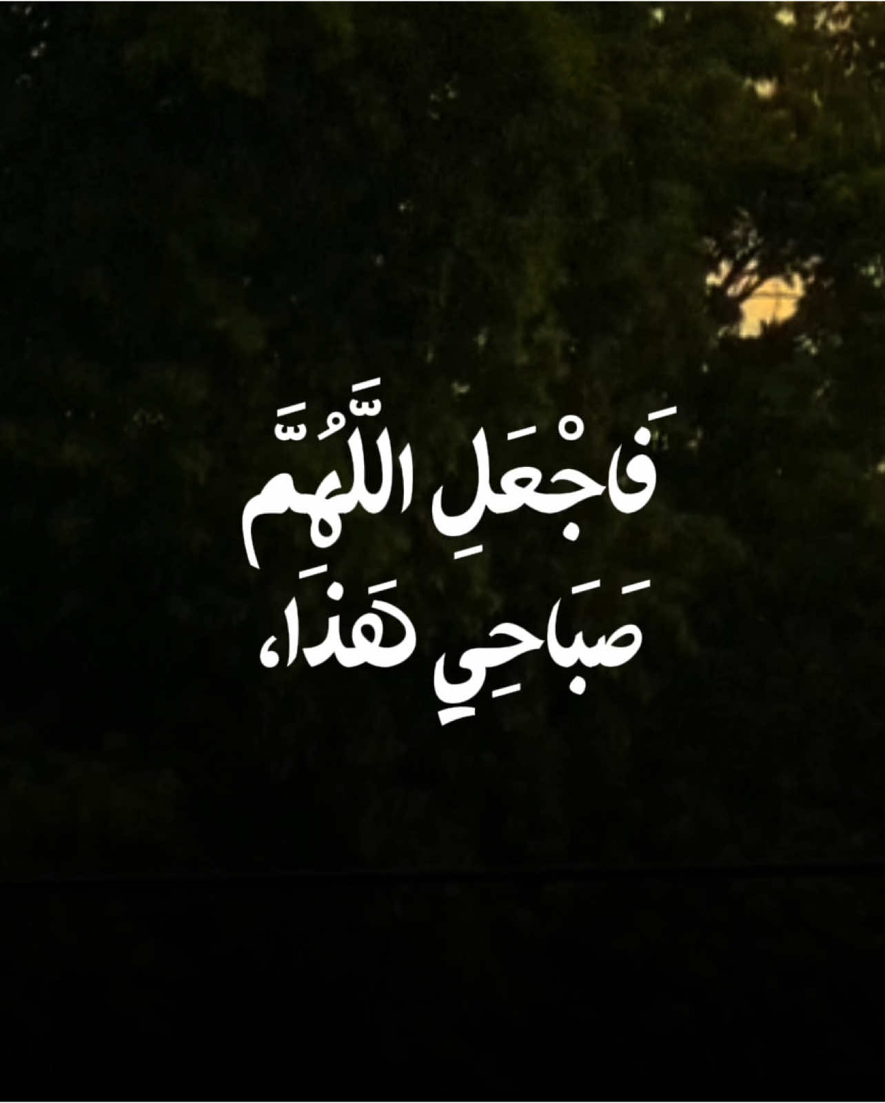 فَاجْعَلِ اللَّهُمَّ صَبَاحِي هَذَا  نَازِلاً عَلَيَّ بِضِيَاءِ الْهُدَى  #اللهم_صل_على_محمد_وآل_محمد #دعاء_الصباح  #اباذر_الحلواجي  #كربلاءالمقدسه #النجف_الاشرف  #ادعيه  #مناجاة  #درر_الشيعة 