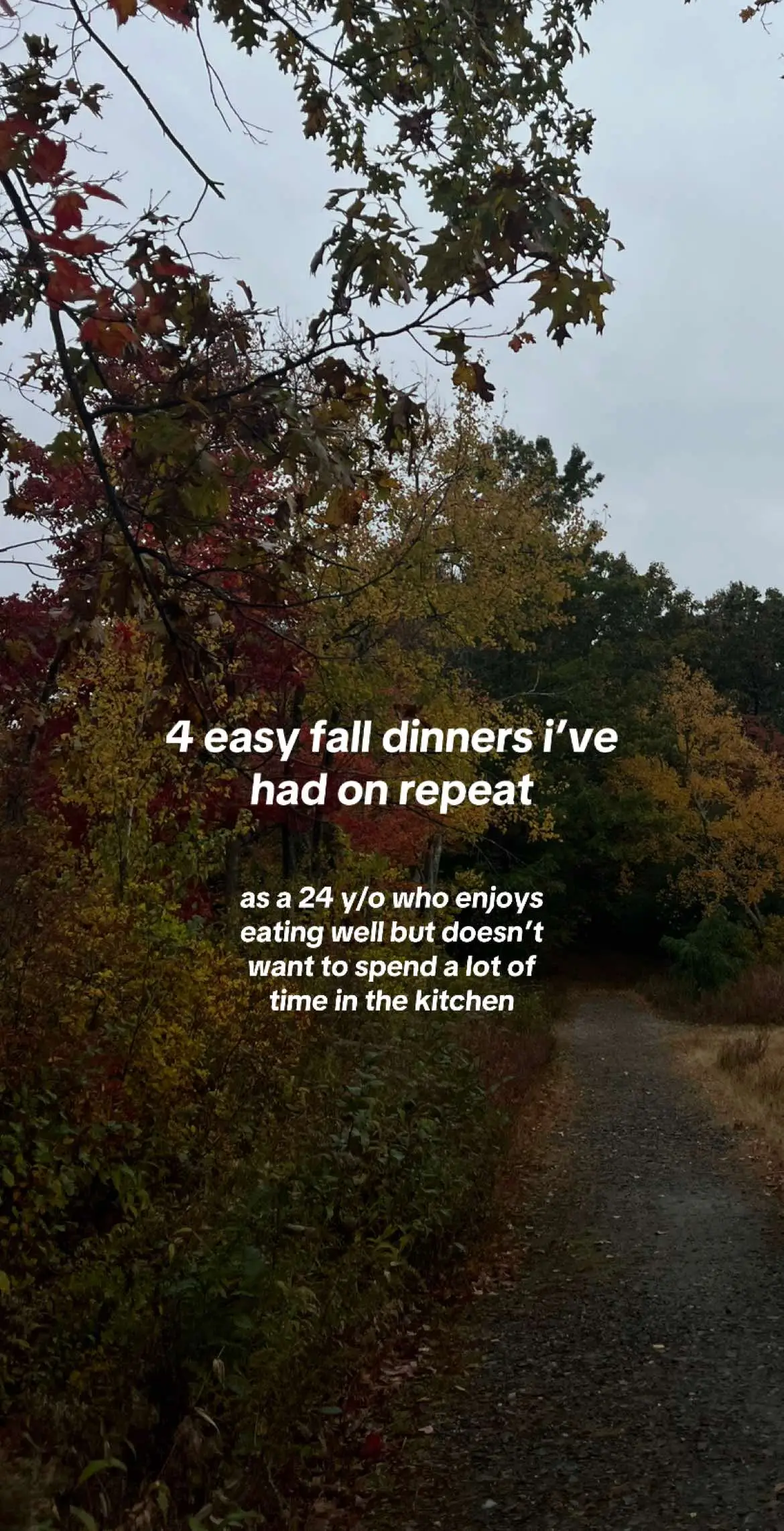 #healthydinneridea #healthydinnerinspo #dinnerinspo #falldinner #fallmealidea #chickenpotpie #chickenpotpiesoup 