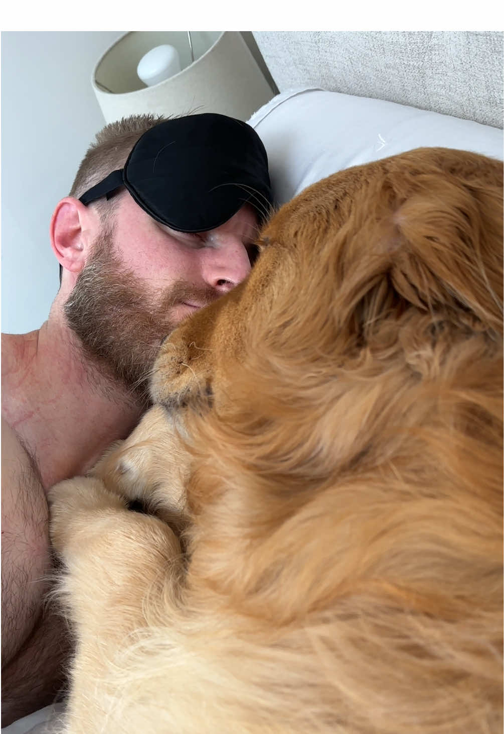 No one loves anything as much as this dog loves this man 🥹 #goldenretriever #dogs