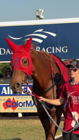 “Adelaide Fever” ❤️‍🩹 @Gary Clarke Racing Stables #horseracing #racehorses #darwinturfclub #garyclarkeracing #horseracingedit #racehorseedit #jockeys #horseracingtiktok #thoroughbreds #foryoupage #horseracingvideo #equestrian #horses 