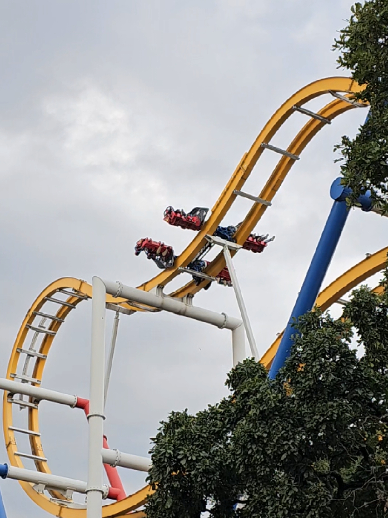 Esta roller coaster presenta una temática basada en la icónica superheroína de DC, Wonder Woman. Su diseño exclusivo ofrece a los visitantes una experiencia única. Los pasajeros van suspendidos en ambos lados de las vías e irán girando durante el recorrido. Es la única atracción en Latinoamérica con el revolucionario sistema 4D Free Fly Coaster. #sixflags #sixflagsmexico #parati #foryoupage❤️❤️ #juegos #adrenalina 