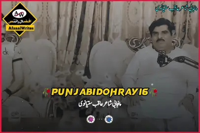 don't underview My videos  #aqibsatianvi1214 #punjabipoetrystatus #punjabidohray16 #growmyaccount✅ #tiktokviral #tredingvideo #punjabipoetry 