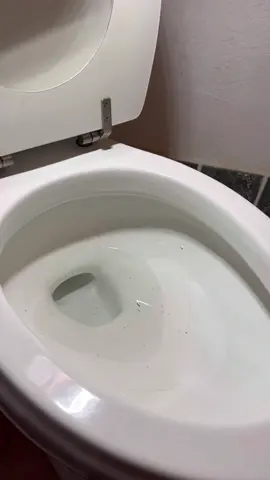 turning a corner toilet into a 16 inch rough toilet😁🤙🏻what do you think bro was looking for? 