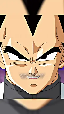 Vegeta Is Disappointed In Cabba