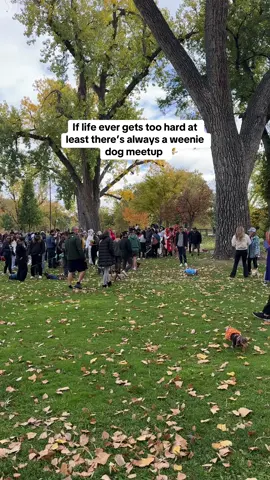 And COSTUMES?!🥹 #weenie 