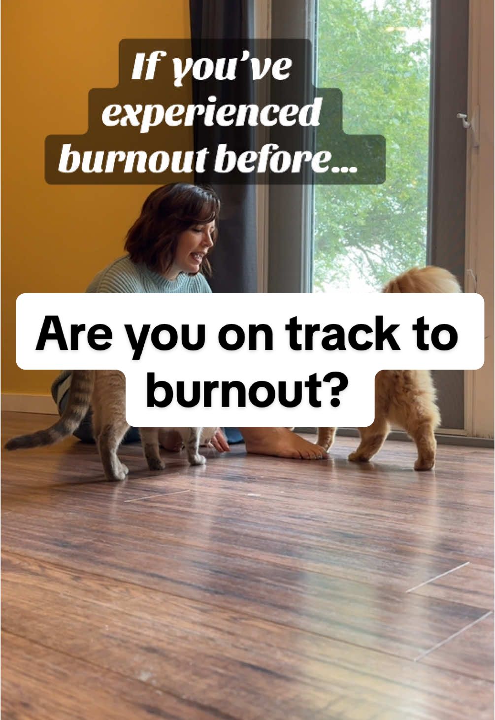 Enjoy this peaceful reflection & zen moment with my cats.  What season of business are you in? Do you feel like its possible to slow down and enjoy what you’ve built?  #digitalmarketing #onlinebusiness #solopreneur #burnout #burnoutrecovery 