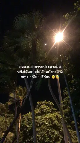 สมองเบลอคัก😅 #เธรดอีสาน #เธรดวันนี้ #ชีวิตคนทํางาน #ฟีดดดシ #สตอรี่ #fpyyyyyyyyyyyyyyyyyyyyyy #สาวออฟฟิศ #น้องไข่ปอก🐣 