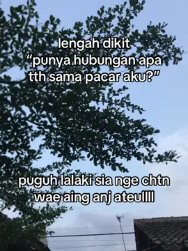 arateulll boga lalaki teh🐛🐛🐛