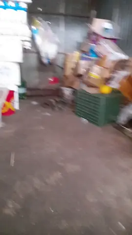 Chuột đuổi Mèo là có thật kaaaa