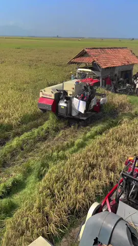 #combineharvester #bimo102 