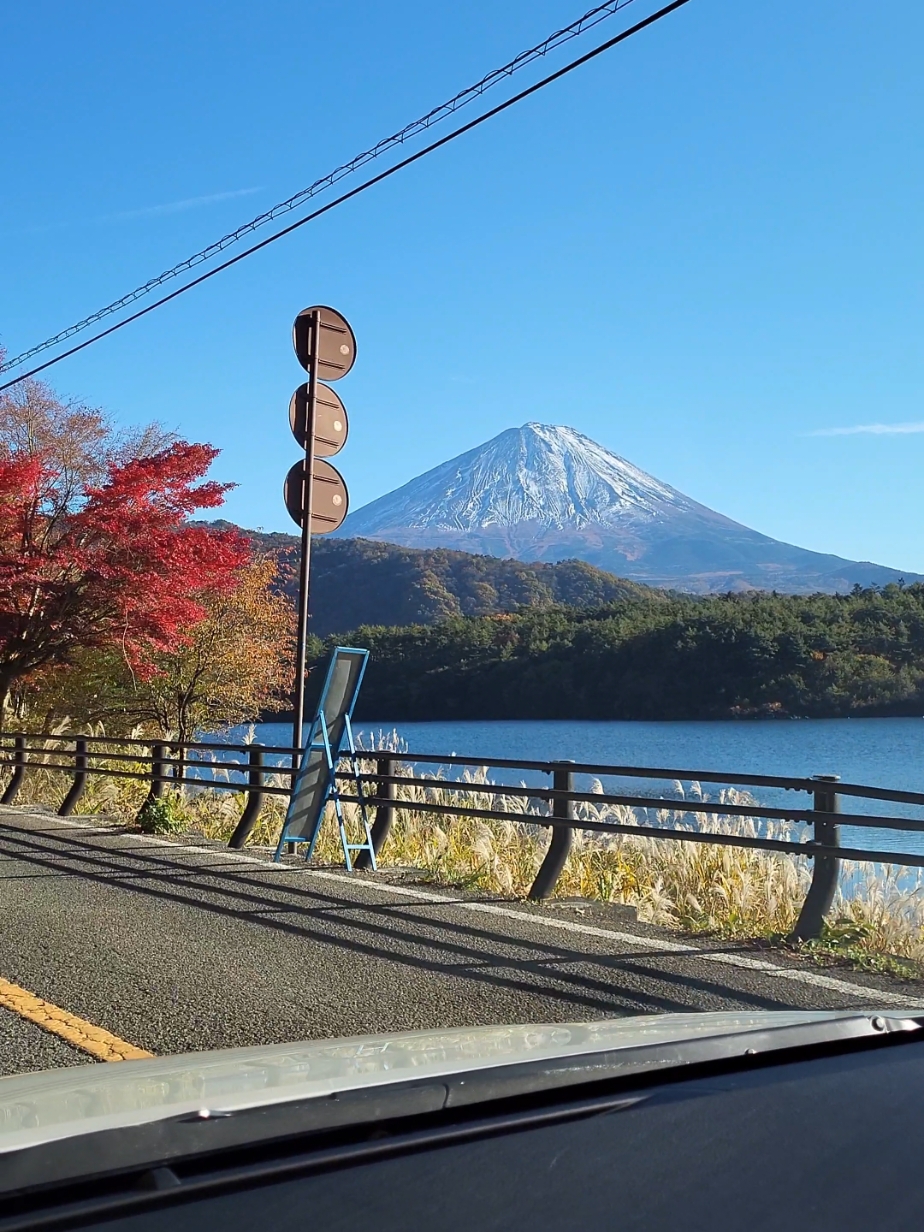 Best season to explore Kawaguchiko is autumn! Book a daytrip in November to experience this scenery 🍁🍂 Klookcode: DIANAINJAPAN (Link in comments) #japanautumn #pr #klookkreatorsinjp #klookkreator #fuji #fujiautumn @Klook Travel 