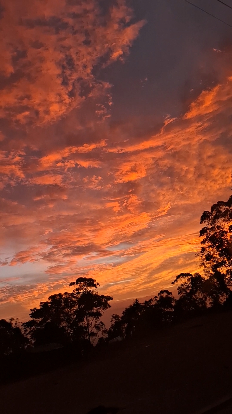 Lejos de la ciudad... 🎶🌆 #atardecer #parati #viralvideos #paratiiiiiiiiiiiiiiiiiiiiiiiiiiiiiii #lejosdelaciudad #ocaso #fouryou #cancion #letrasdecanciones #celica #ecuador #instantes #naturaleza #danielaspalla 