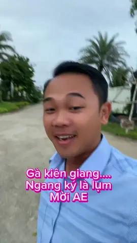 Cùng bắt trend với Ti nhe AE #traigaduyentilaycup #traigaduyenti #c1 #c2 #c3 #c4 #c5 #channuoi #ga