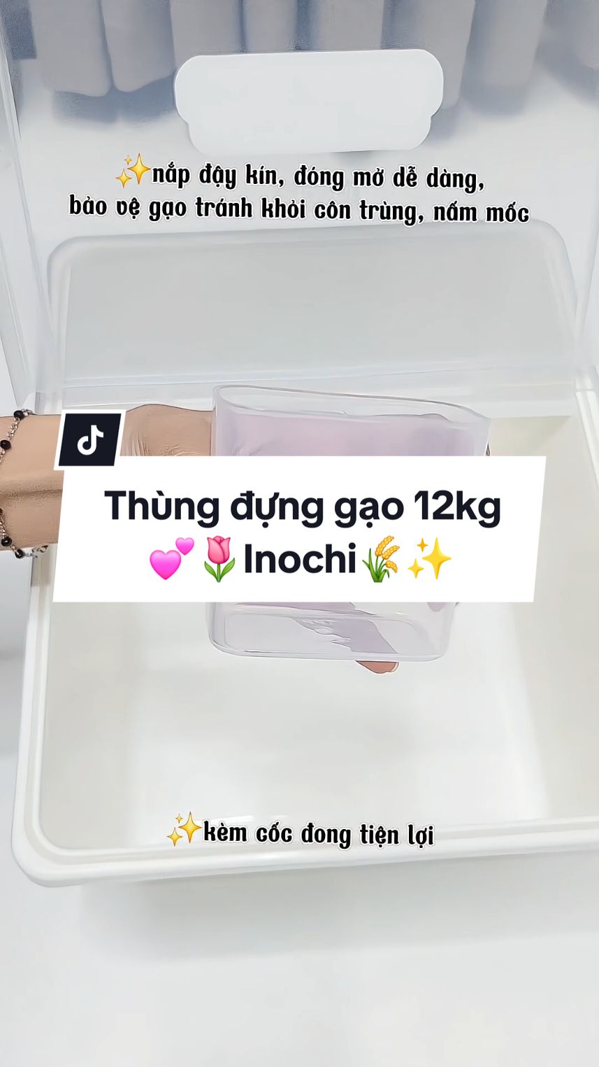 Thùng đựng gạo Inochi chất lượng lắm mọi người ơii🌾✨️🍚 #review #dogiadung #thungdunggao #inochi