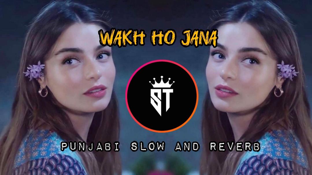 Apa Wakh Ho Jana (slowed+reverb)#punjabisong #slowedandreverb #slowed #reverb #sadpunjabi #sadpunjabisong #leatestsong #pollywood #punjabi #browntiktok #sadstatus #viralsong #newsong #viewsproblem #orignal #100k #stopunfollowing 