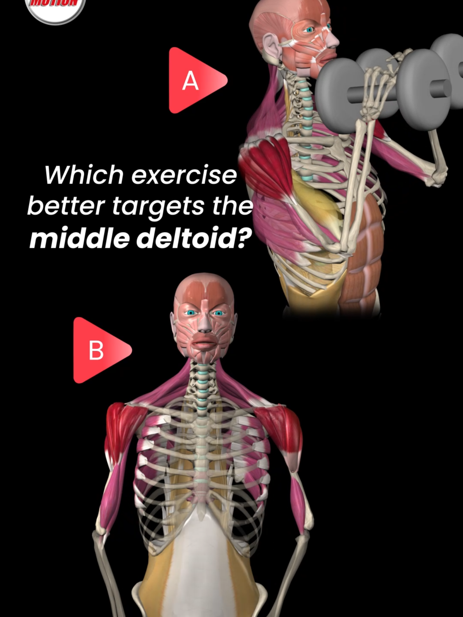 Upright Rows vs. Close Grip Overhead Press 🔥 Today, we have a question for you! Which exercise better targets the middle deltoid? 🅰️ Close Grip Overhead Press 🅱️ Upright Rows 🌟 The answer is… 🅱️ Upright Rows! Let’s break down why🔎 The middle deltoid is primarily responsible for shoulder abduction. During upright rows, the movement pattern involves lifting the arms to the sides, directly engaging the middle deltoid. In contrast, the close grip overhead press focuses more on the anterior deltoid due to the close-hand position, which shifts the emphasis away from the middle deltoid. Want to understand exercises beyond just performing them? Check out the Muscle and Motion STRENGTH TRAINING APP, link in bio! #strengthtraining #muscleandmotion #workouttips #bodybuilding