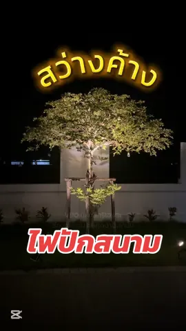 สว่างค้างทั้งคืน แสงแรง แสงชัด ใช้มา 1 ปีกว่า ทนมากๆๆค่ะ  #ไฟปักสนาม#ไฟปักสนามโซล่าเซลล์#ไฟส่องต้นไม้#ไฟปักพื้น#ไฟส่องทาง#ไฟประดับสวน#ไฟแต่งสวน