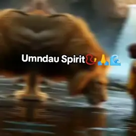 Amen🙏#sangomadiaries🌊 #isithunywa #makhosi #sangoma #waterspirit #zion 