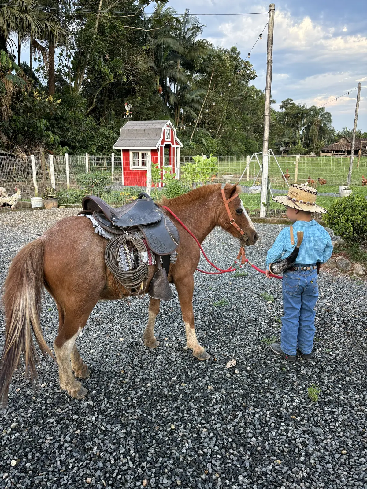 Gostaram do cavalo do Campeiro?? Esse é o Alipio 👨‍🌾🐴❤️