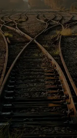 Caminho aberto, força à frente com Ogum, sigo firme e destemido! #sarava#ogum#axe#fe#caminhos#ogunhê#bomdia