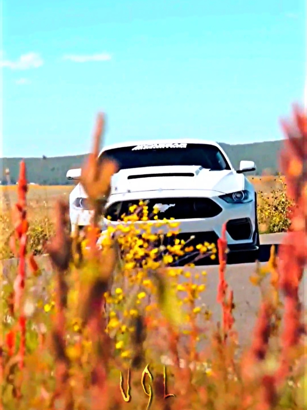 Manchar el vestido blanco 🗿//🔥🏎️ Idea: @👑𝕯𝖔𝖓𝕸𝖔𝖝𝖊𝖒👑    #mustang #ponmeenparati #ponmeenparatitiktokculero #Viral #Edit #fyp #fypシ #apoyo #tiktok #parati 