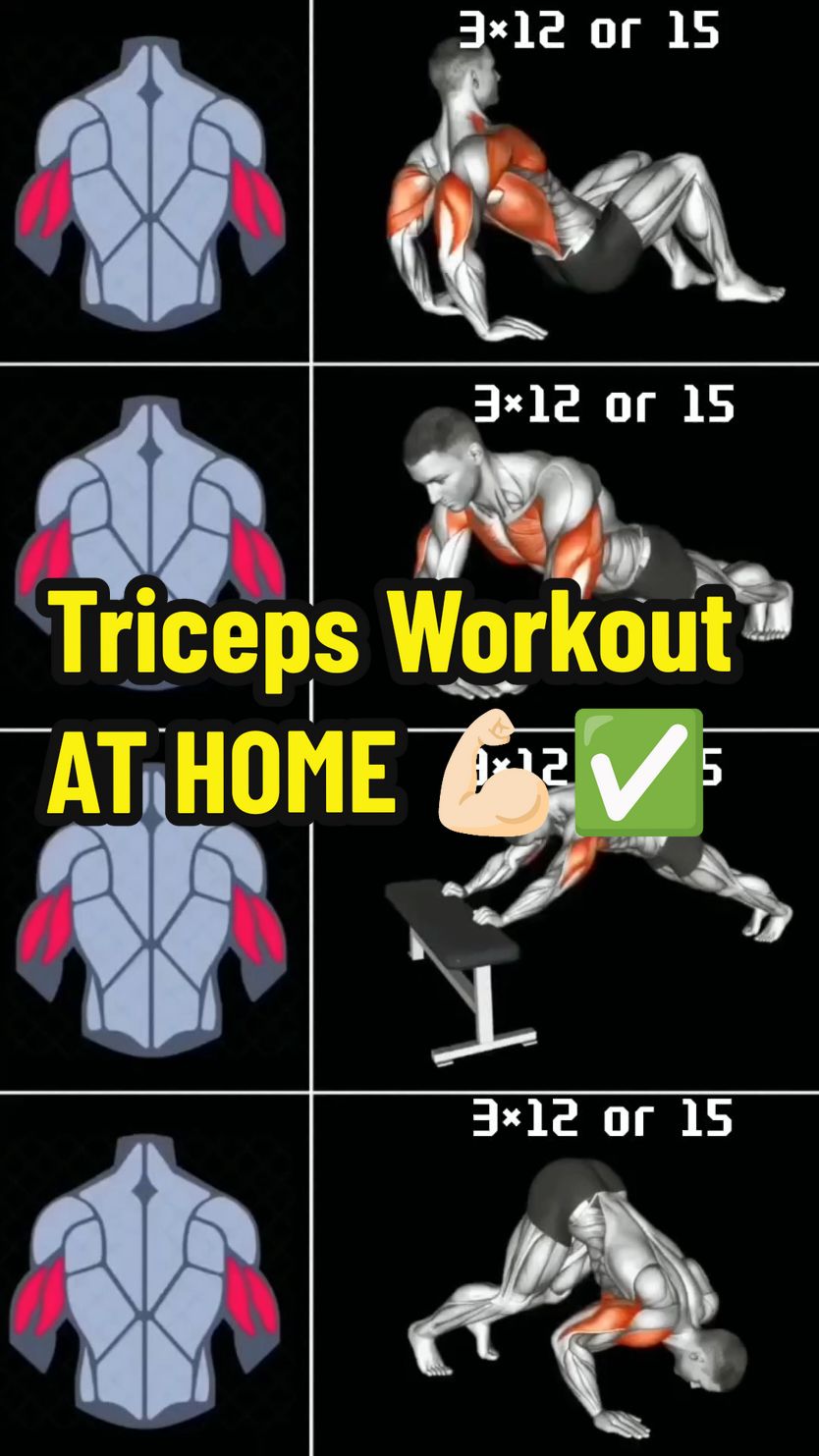 Triceps Workout at Home 👍🏻 #triceps #tricepsworkout #workout #homeworkout #gym #Fitness 