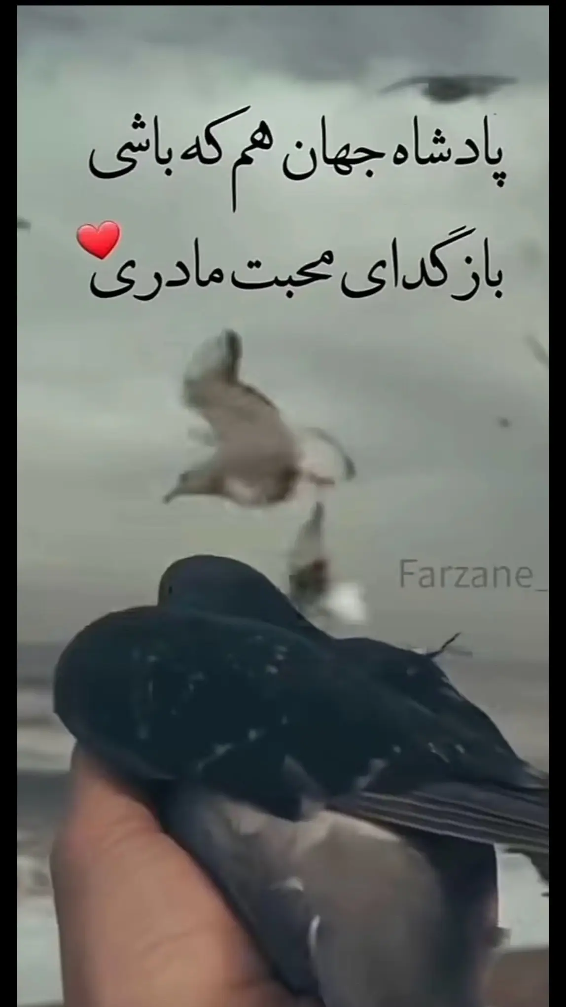 افغانی تیک تاک 🇦🇫❤️🥀🥹😭