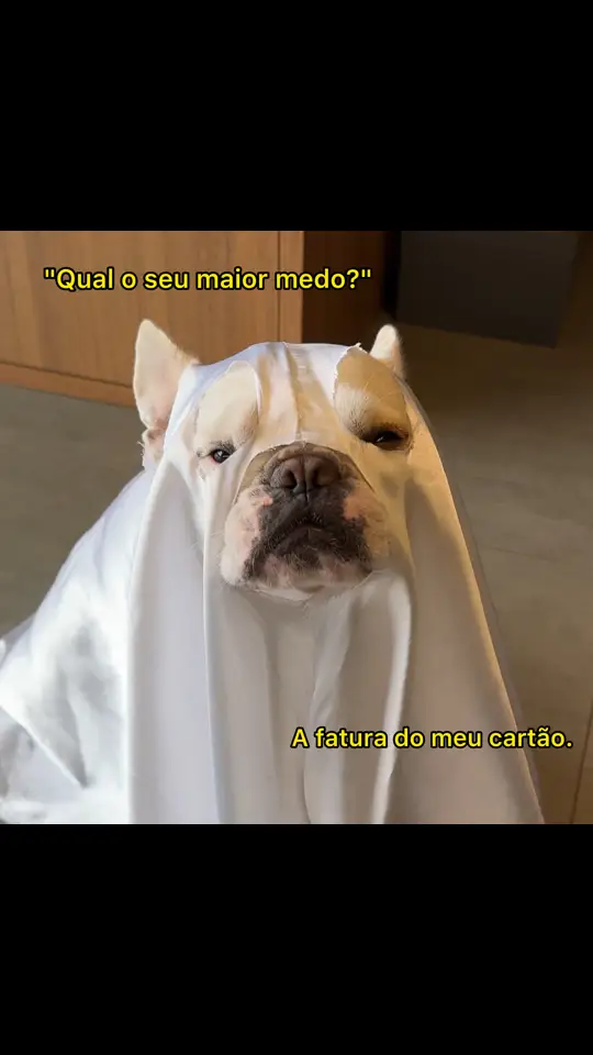 Arrepia a espinha 👻🧀 #fyp #bulldogfrances #pet #comedia #humor #halloween 