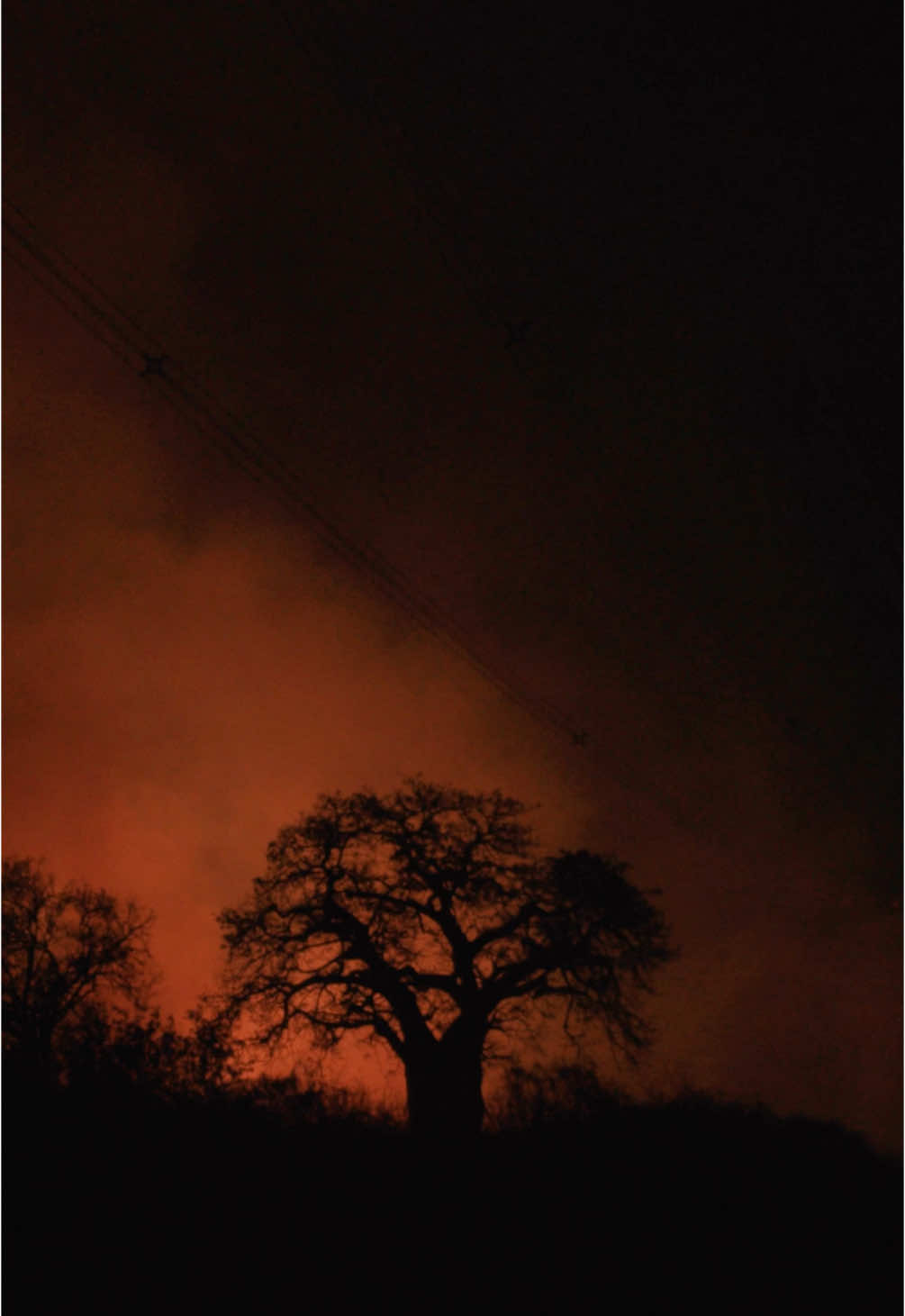 It’s peak dry season in Kenya and that means fire season! Human acts, like land clearing & poaching, often spark bushfires, posing a serious threat to habitats & wildlife. So far in 2024, our teams, in partnership with KWS, have responded to 79 fires.  Thousands of acres have been lost, and with that many creatures - unable to escape the flames - will have perished. But, it would be tens, if not hundreds of thousands of acres and countless lost lives without our coordinated response. Firefighting requires preparedness, training, and the right equipment. Donations help ensure we are always ready to respond. If you can, please give today. Full update: sheldrickwildlifetrust.org/news/updates/fire-season #sheldricktrust #fire #wildfire #firefighting #flames #kws #sheldrickwildlifetrust #tsavo #wildlife #habitat #animals 