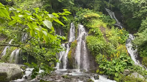 📍Doryu Falls  Hokuto, Yamanashi, Japan #doryufalls #waterfall #waterfallasmr #nature #Hiking #scenic #japantravel #traveljapan #japantok #吐竜の滝 #清里 #滝 #山梨 