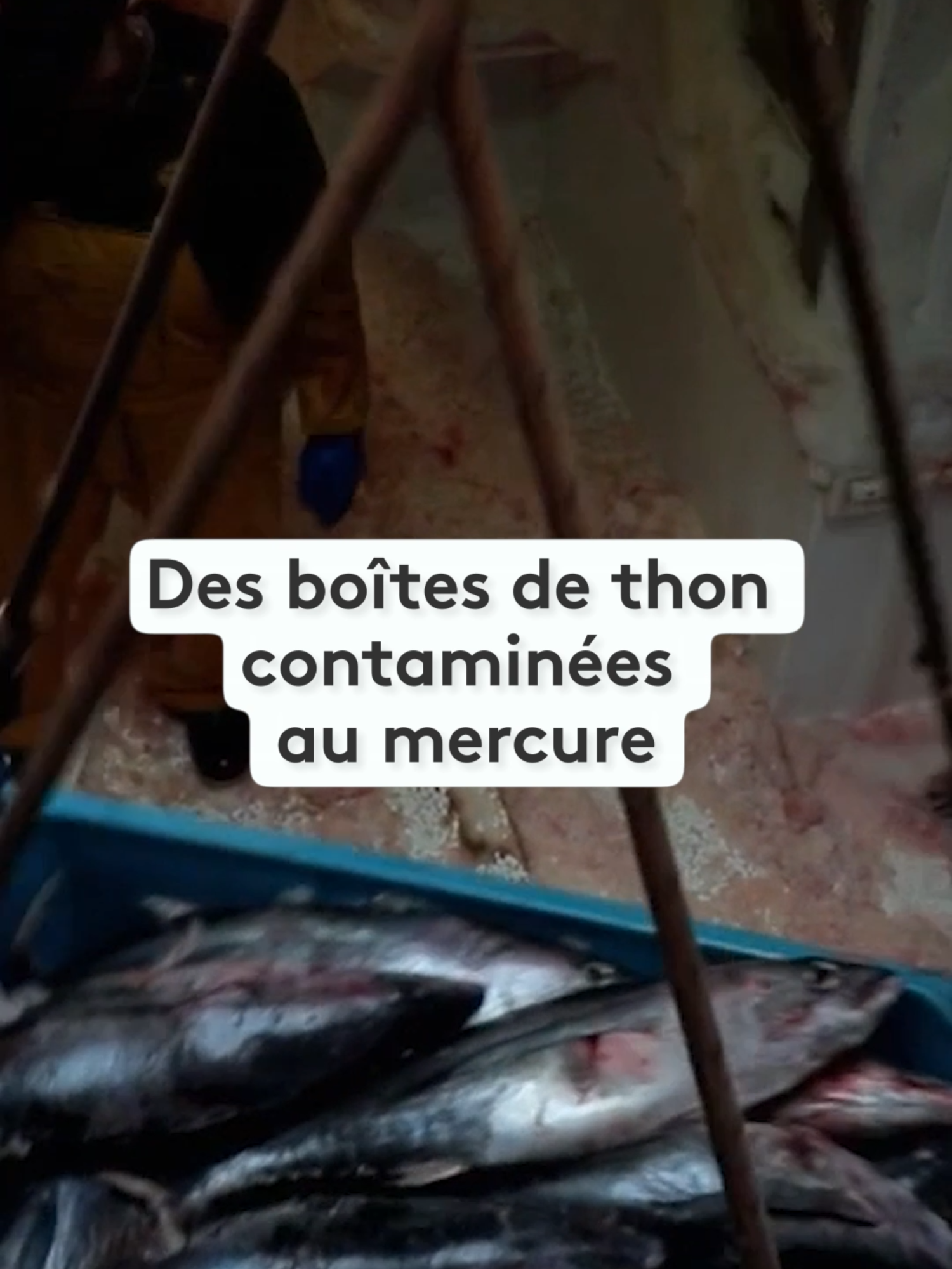 Après avoir analysé 148 conserves de thon, les ONG Foodwatch et Bloom ont constaté que les concentrations en mercure étaient trop fortes. Elles dénoncent un 