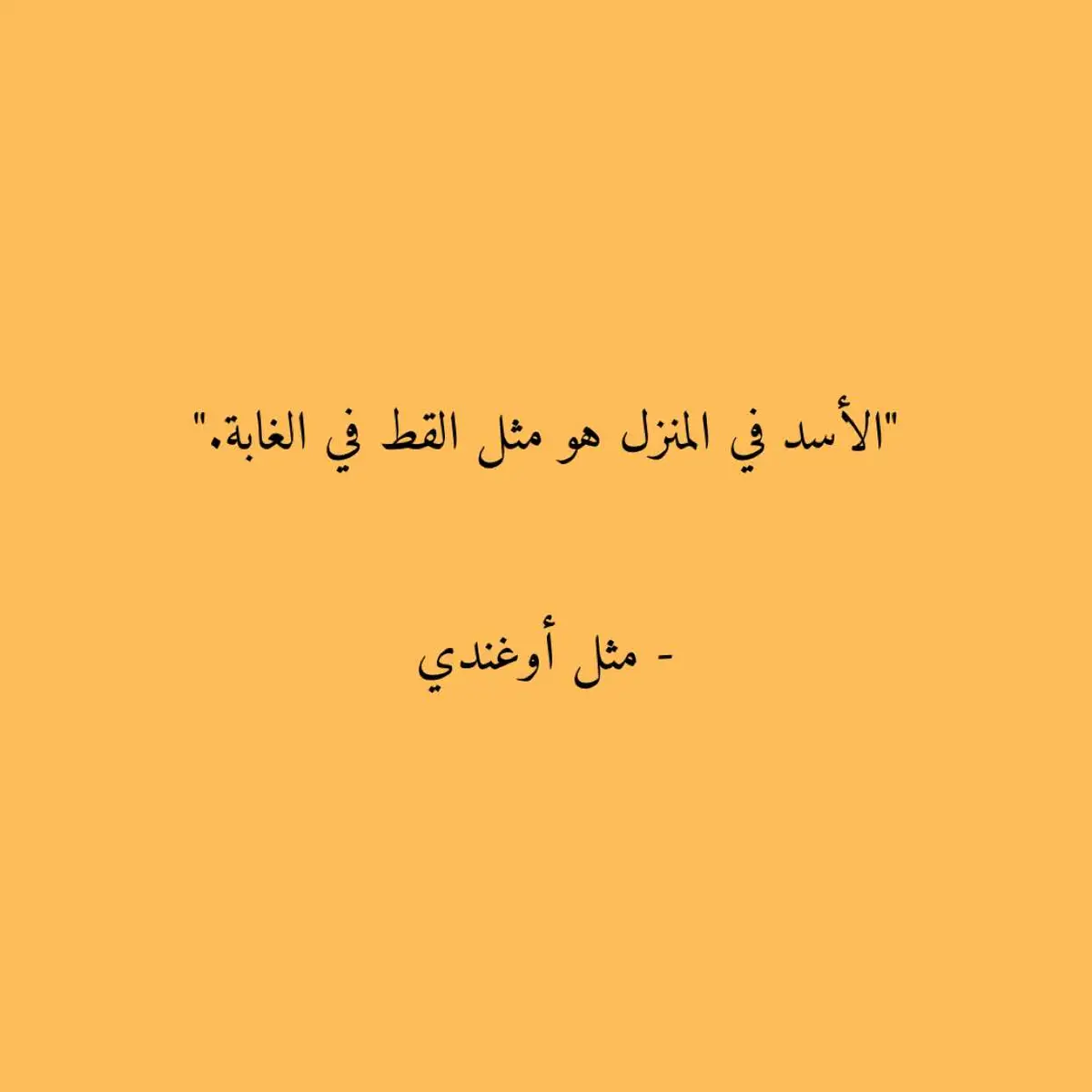 #أمثال #حكم_وأمثال_وأقوال #أمثال_شعبية #اقتباسات #اقتباسات_كتب 