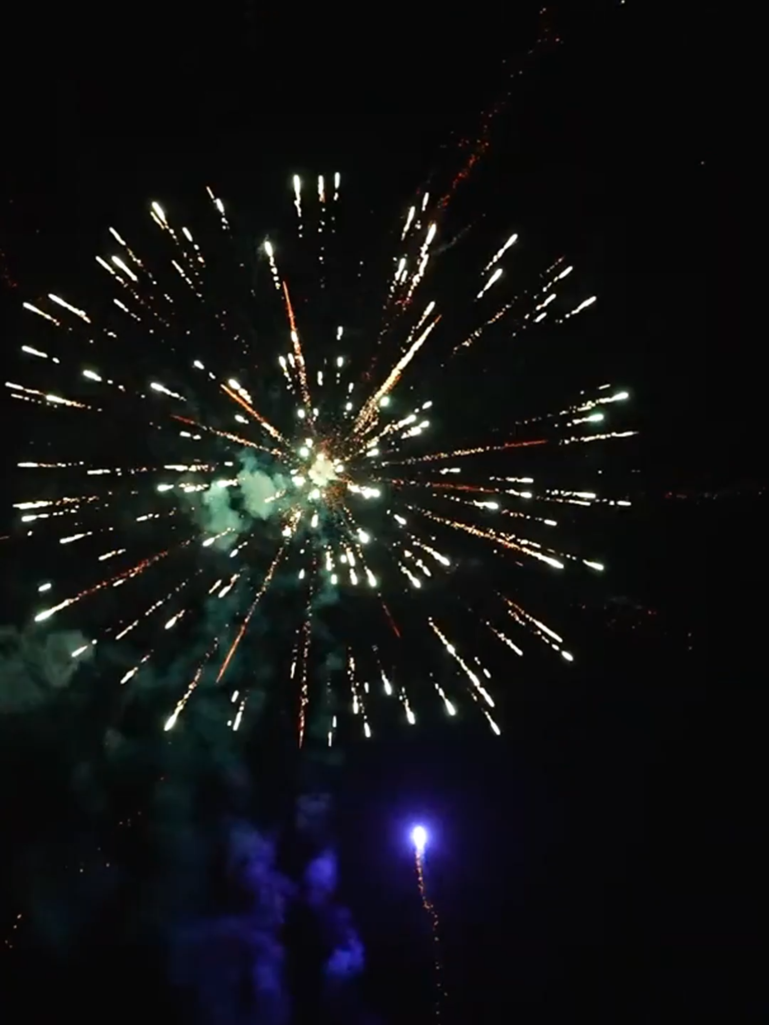 Argento Blossom (Batch 2024) #pyro #fireworks #feuerwerk #pyrotechnik #pyrotechnics #cake #argento #vuurwerk #fajerwerki #fyp 📹: Argento Feuerwerk