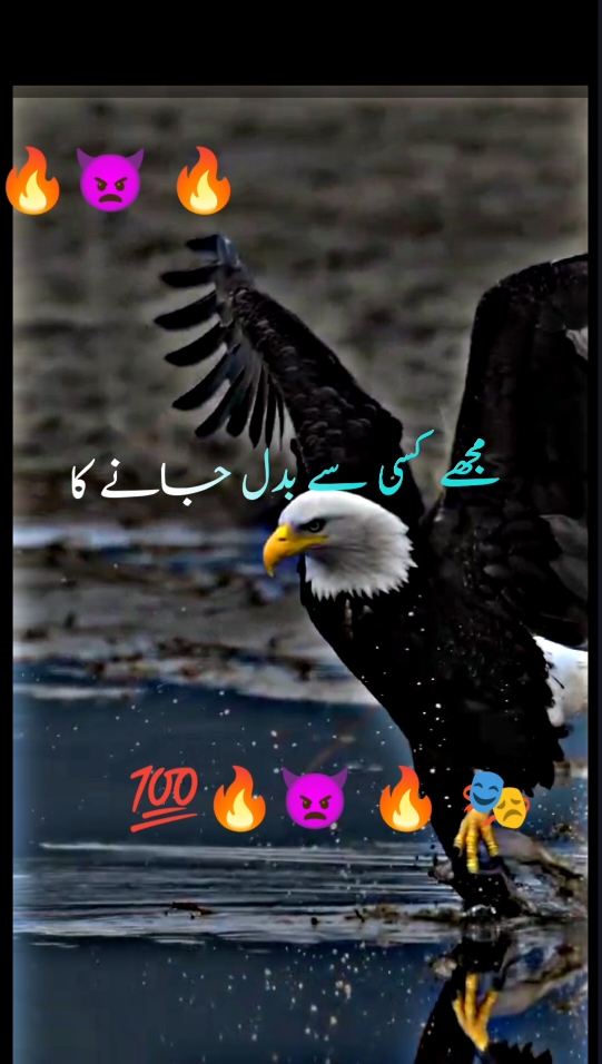 مجھے کسی سے بدل جانے میں کوئی فرق نہیں پڑتا 🔥🔥🔥🔥🔥🔥 #foryoupage #🖇️✨🥀💔# #standwithkashmir #fyp #a #500k#poetrystatus #viralmyvideoplztiktok #whatsappstatus #goviral#NotYourAffan#500k