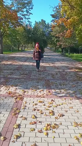 ЧудОвий осінній день☀️ 🍁🍂🍁#жовтень #красанавколо #осінь2024 #життяпрекрасне #моменти #tiktok #укртікток🇺🇦 