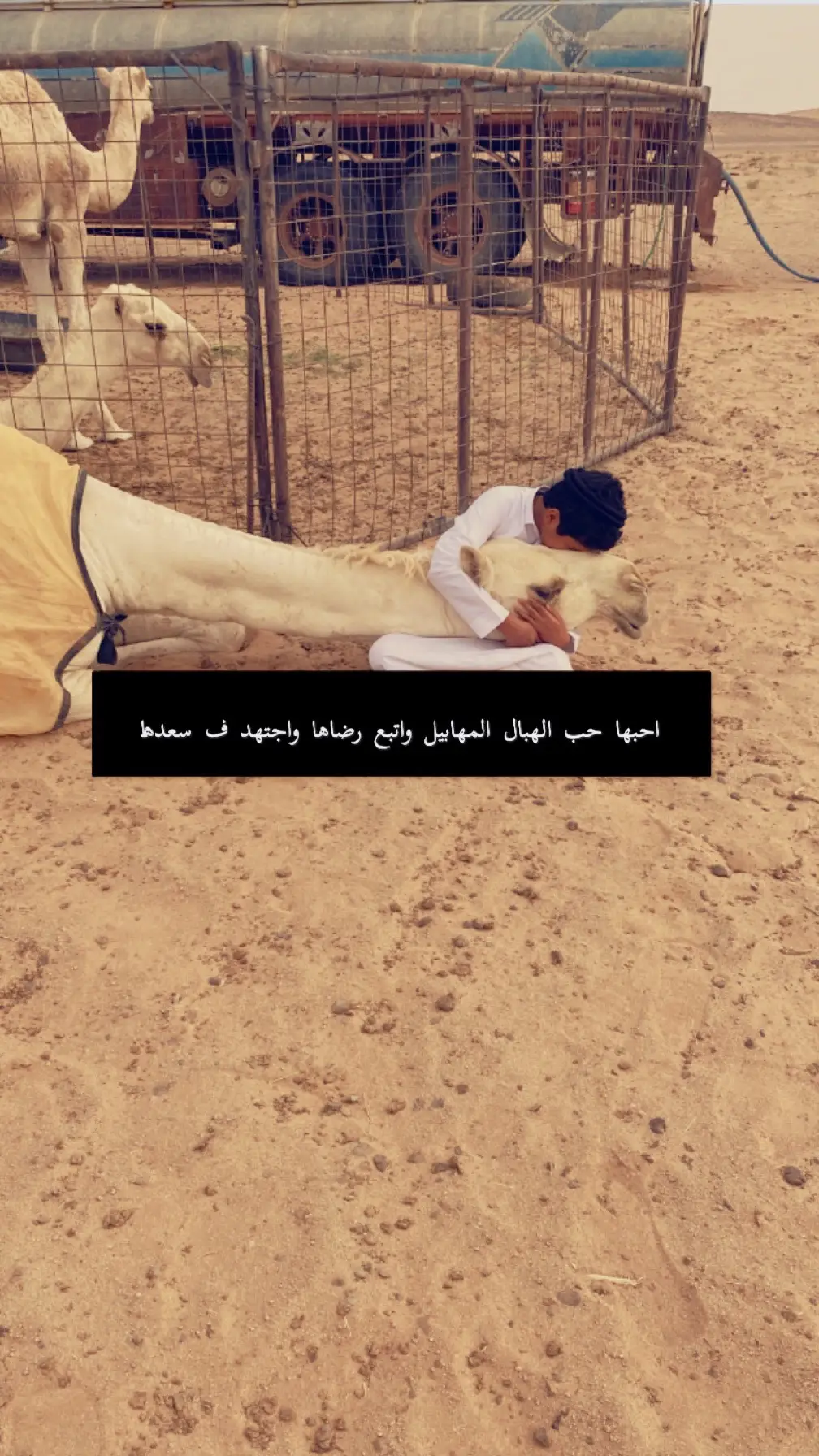 دنيا بلياك عندي مالها خانهه🤍#اكسبلورexplore #مشاهداتoryoupage #الشعب_الصيني_ماله_حل😂😂🙋🏻‍♂️ #الصاقب_الجفرة_الخرمة_رنيه_عرق_سبيع 