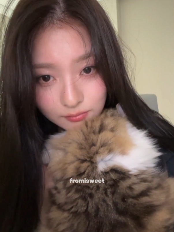 LUCU BANGET ARO NGAMBEK😆🤏🏻 #nagyung #fromis_9 #weverselive #aro #cat 