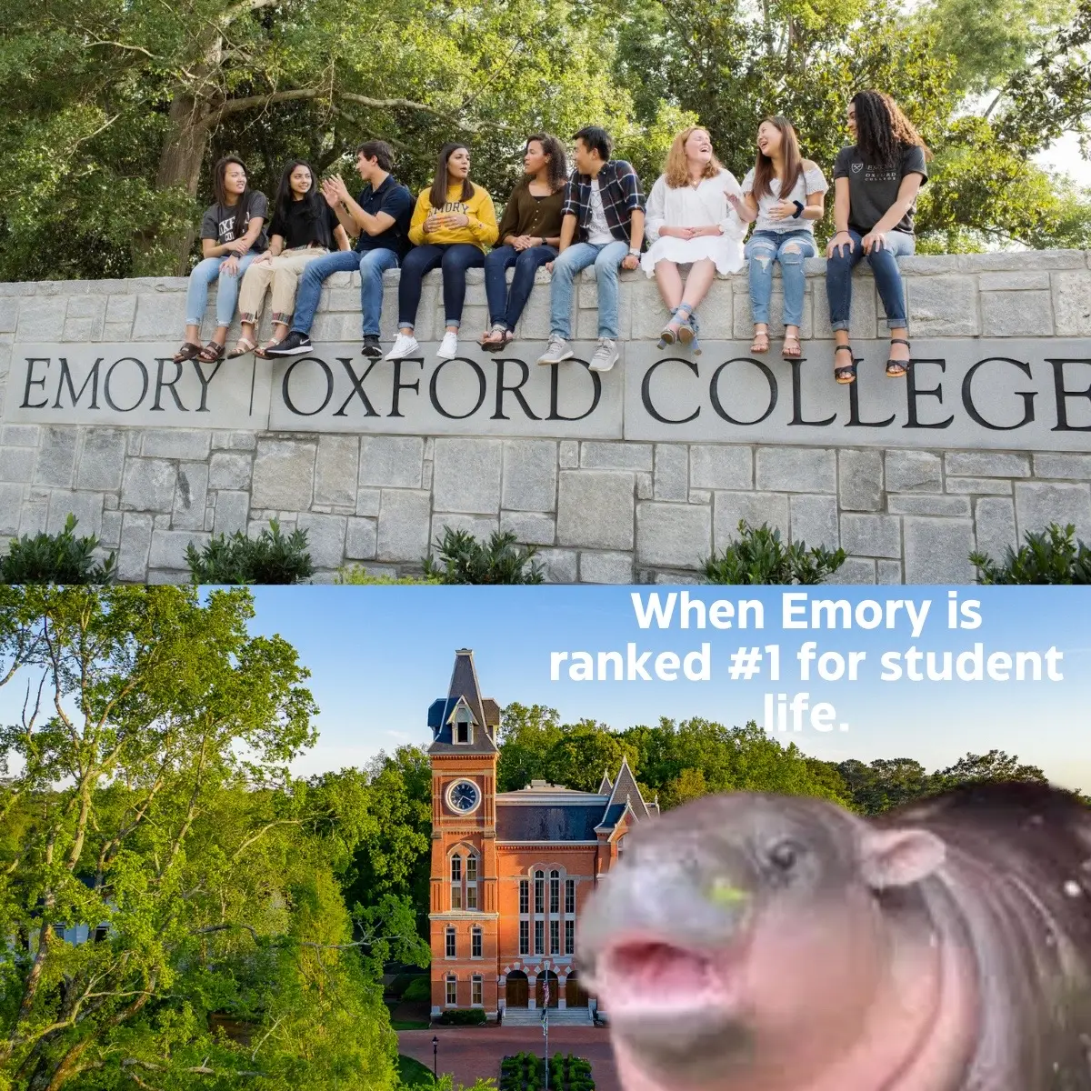 #oxfordcollege #oxfordcollegeofemoryuniversity #emoryuniversity #collegetiktoks #emory #emoryoxford #moodenghippo #moodeng