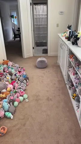 SHES SO BIGGGGG #pusheen #plush #plushies #plushtoys #cat #cats #kitty #kitten #cute #adorable #aw #squishy #squish #squishmallows #fypage #fypシ゚viral #viral #bug #huge #chubby #large 