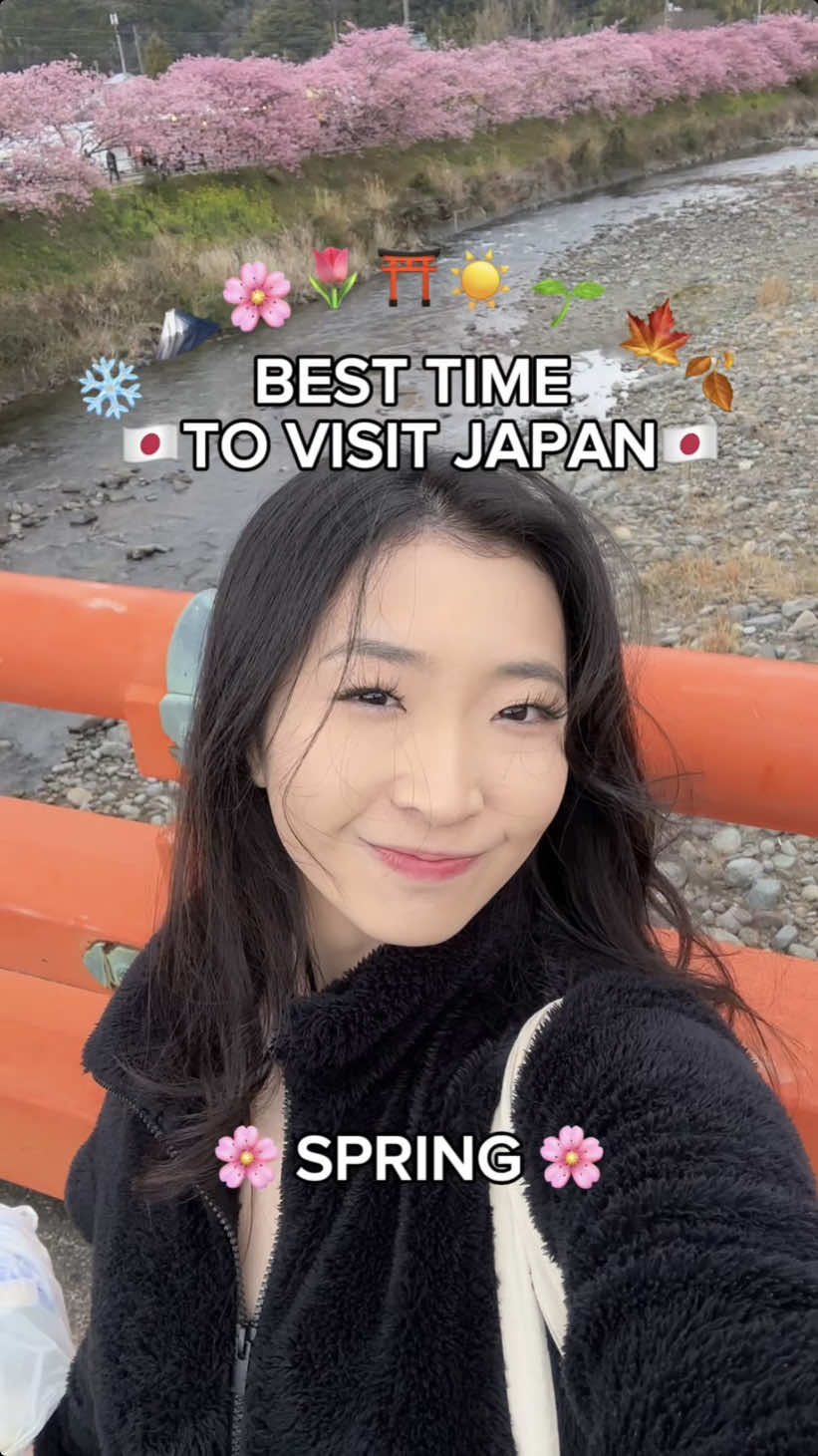 Whats the best season to visit japan??? 🌸☀️🍁❄️ . . Are the cherry blossoms worth it?? . . . #creatorsearchinsights #besttimetovisitjapan #vistingjapan #japantrip #tokyotravel #japantravel #japaneseculture #japanspring #cherryblossoms #sakura #japanseasons #whentovisitjapan 