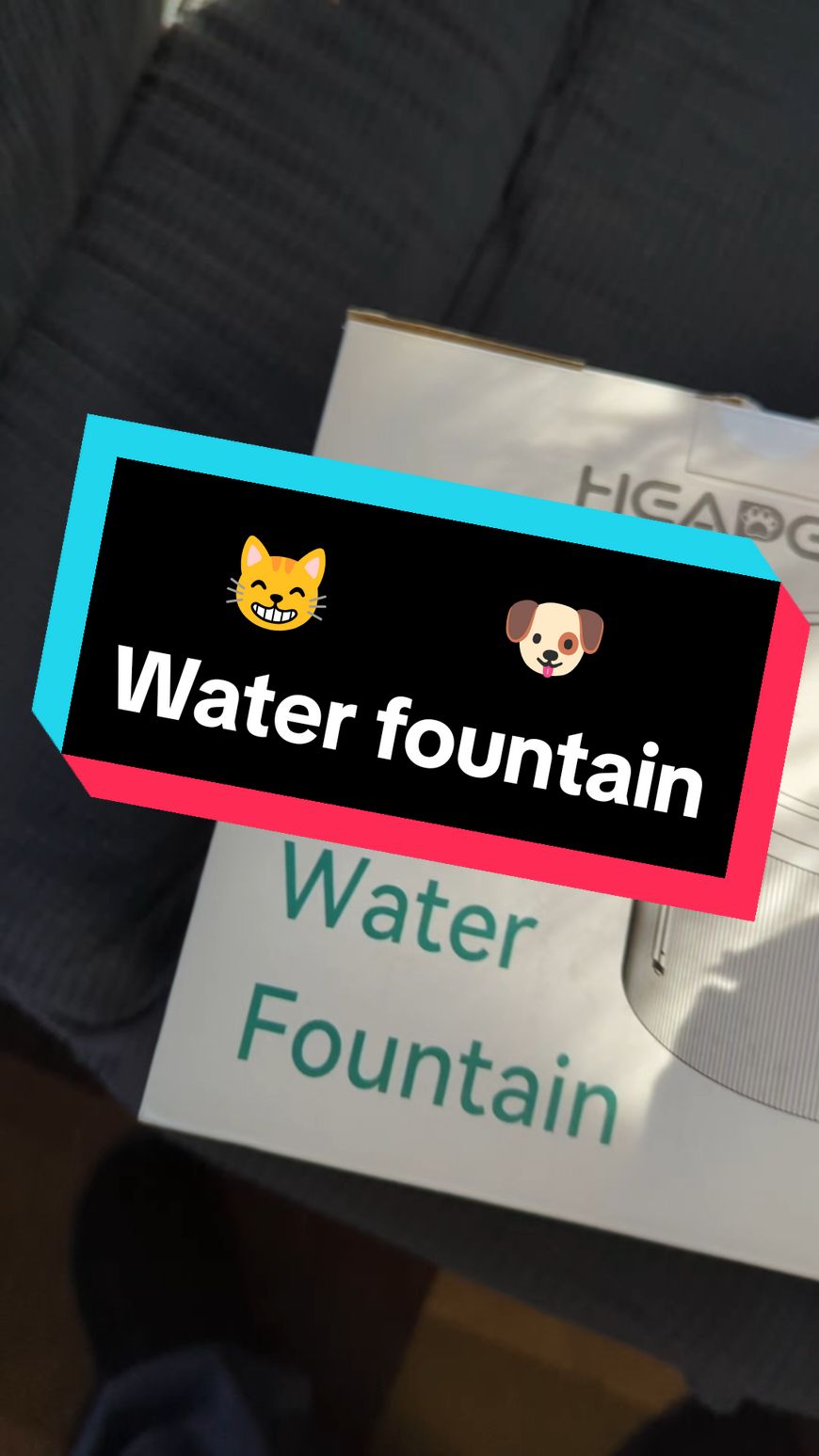 We threw our old water bowls away!  #tiktokshopcybermonday #TikTokShop #tiktokshopblackfriday #kitten #kitty #pet #falldealsforyou #waterfountainfordogs #waterfountainforcats #petwaterbowl #waterfilter #catwaterfountain #dogwaterfountain #waterbowl #halloweendeals 