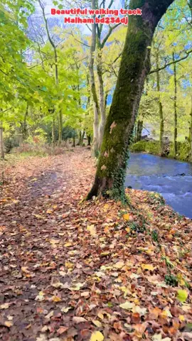 What a bra walk track in malham yorkshire #malham #bestplacestovisitinuk #growmyaccount✅♥️♥️♥️ #unfrezzmyaccount #100likes #growmyaccount✅♥️♥️♥️ #foryoupage❤️❤️ 