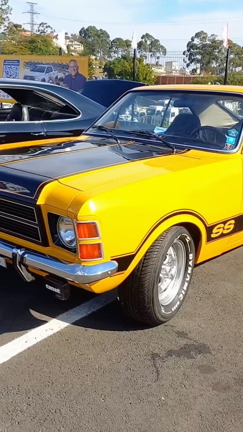 Opala SS #creatorsearchinsights #trends 