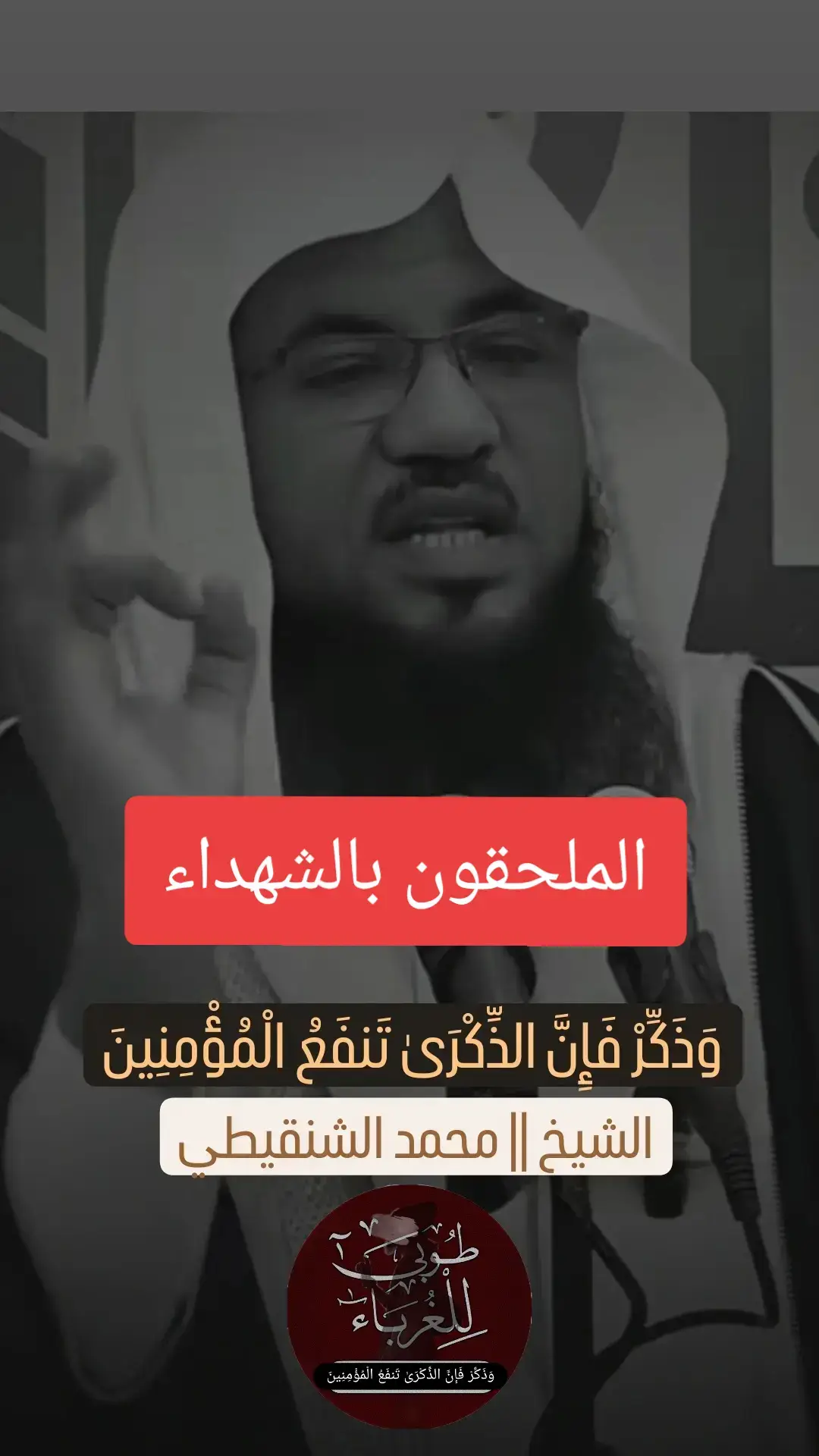 #الشنقيطي #الشيخ_محمد_بن_علي_الشنقيطي 