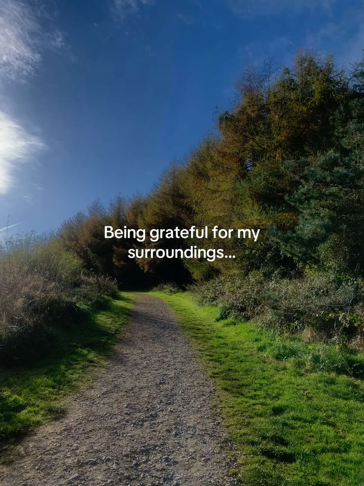 #gratitude #nature #wholesome 