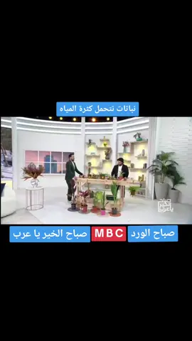 #نباتات_تتحمل_زيادة_المياه #صباح_الورد  #صباح_الخير_يا_عرب  #m_b_c  #زراعة  #زراعة  #اشجار  #نباتات  #الرياض_الخضراء  #مهندس_زراعي_حسام_القايد 